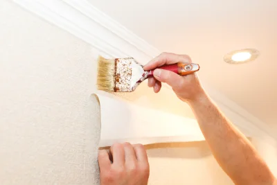 Pose de papier peint à Vinezac — revêtements muraux et toiles de verre